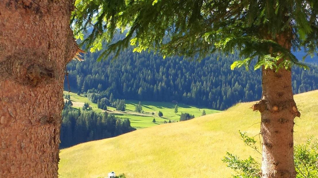 Ciasa Alpina Relax Hotel Moena Buitenkant foto