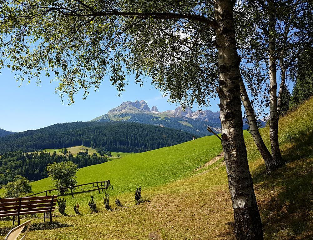 Ciasa Alpina Relax Hotel Moena Buitenkant foto
